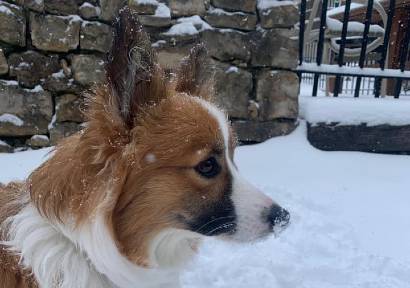 Mission City Hall Sign